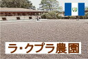 グアテマラ・ラ・クプラ農園 100g 珈