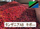 タンザニアAB キボ- 100g 珈琲 Coffee