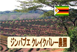 ジンバブエクレイクバレー農園 100g-500g 珈琲 Coffee コーヒー豆