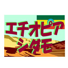 エチオピアシダモコーヒー1kg- 2kg コーヒー豆 大容量 業務用