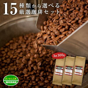 15点の珈琲豆から選べる福袋！計300g3点セット 　送料無料 コーヒー豆 お試しセット お試し 珈琲豆 飲み比べ 　焙煎具合や挽き具合も選べるのは当店だけっ(coffee-0001)