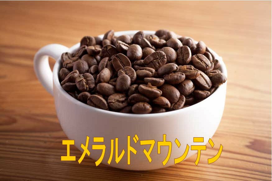 エメラルドマウンテン100g・200g・300g・400g・500g コーヒー豆 コーヒー 珈琲 Coffee