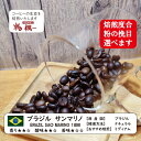 ブラジル サンマリノ300g コーヒー 焙煎 すぐ発送 ばいせん ばいせん工房 焙煎機 焙煎したて コーヒー豆 コーヒー粉 受注焙煎 選べる焙煎度合い 【ブレン...