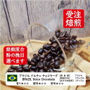 ブラジル ドルチェ チョコラーダ 100g コーヒー 焙煎 すぐ発送 ばいせん ばいせん工房 焙煎機 焙煎したて コーヒー豆 コーヒー粉 受注焙煎 選べる焙煎度合い 【ブレンドじゃない】