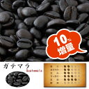 【限定コーヒー豆100g全品セール】