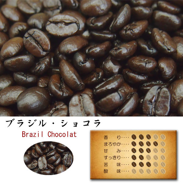 【11月20日(木) 19:59まで使える最大1000円OFFクーポン】コーヒー豆 お試しドリップ コーヒー ドリップ コーヒー キャンプ 珈琲豆 自家焙煎 コーヒー粉 自宅用 ブラジル・ショコラ 中煎り 100g入り