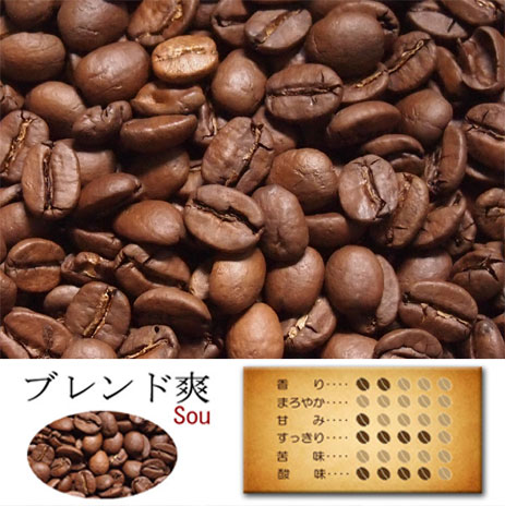 【11月20日(木) 19:59まで使える最大1000円OFFクーポン】コーヒー豆 お試し ドリップ コーヒー ドリップコーヒー レギュラーコーヒー キャンプ 珈琲豆 自家焙煎 コーヒー粉 自宅用 ブレンド爽 浅煎り 100g入り
