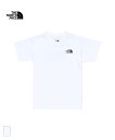 THE NORTH FACE S/S Historical Logo Tee(NTJ32356)国内正規品 キッズ トップス 半袖 カジュアル シンプル 子供服 100~150 ホワイト ベージュ グリーン ネイビー 23SS 春夏新作