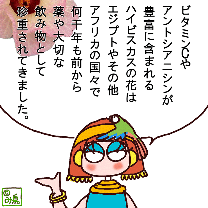 ハイビスカスコーディアル 100ml み鳥 国産　美容ドリンク　お洒落　ギフト　プレゼント　ハーブドリンク　ハイビスカス　エディブルフラワー　ママ友ギフト　ビタミンC豊富　ポリフェノール豊富　アントシアニン豊富　女性へのプレゼント　ここっとさん　み鳥