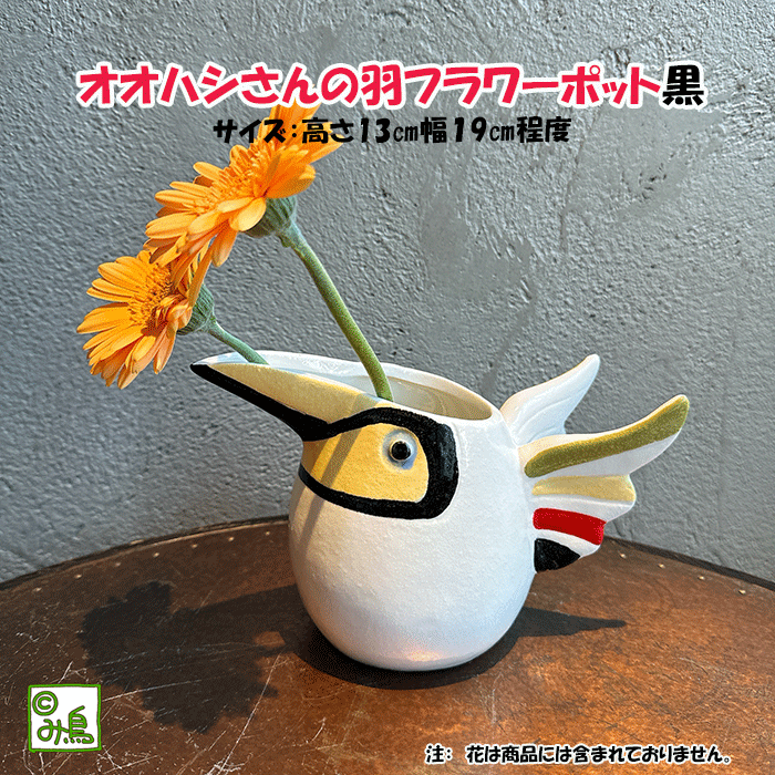 オオハシさんの羽ジャグ　黒のサムネイル