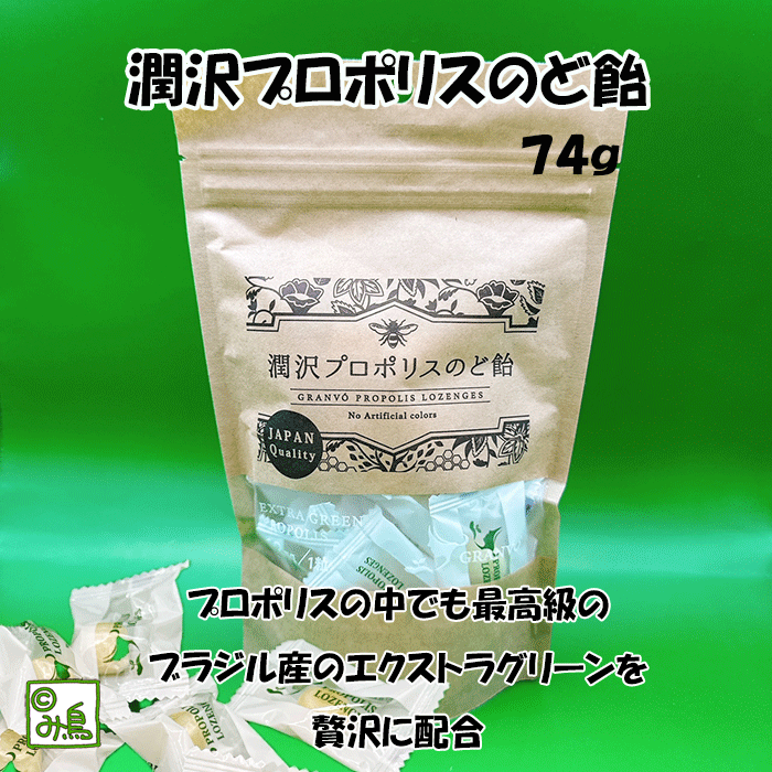潤沢プロポリスのど飴 プロポリス のど飴 蜂蜜入り 花粉症 喉ケア マヌカハニー 国産原料 無添加 乾燥対策 携帯便利 ここっとさん み鳥