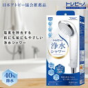 トレシャワー RS54 最新モデル 東レトレビーノ 塩素除去 浄水シャワーヘッド|おうち時間 シャワーヘッド アトピー 浄水シャワー カートリッジ 浄水 ヘッド 塩素 除去 活性炭 節水 節水シャワー 浄水器 トレ シャワー 切り替え 節水シャワーヘッド