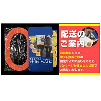 骨盤ベルトヴィーベル★ソフトタイプ★ダイエットシェイプアップ産後骨盤矯正体幹Vi-BelWalk|骨盤ゆがみ矯正グッズ骨盤矯正ベルトダイエット器具お腹周り痩せお腹痩せベルトお腹姿勢エクササイズ引き締め骨盤補正姿勢サポーター器具ウエスト