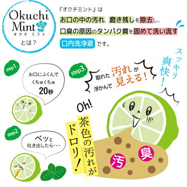 ★即日発送★口内洗浄液 オクチミント【240本セット】使い切りタイプ 口臭ケア 口内洗浄 口臭予防 口腔ケア マウスウォッシュ ノンアルコール 低刺激| 使いきり 携帯用 携帯 口臭 スティック セット 口臭対策 使い切り 口腔洗浄 レモン 洗口液 マウスウオッシュ デンタルケア