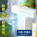 ★クーポン割★オゾン 発生器 オゾン脱臭機 冷蔵庫 脱臭【除菌 消臭 鮮度保持】オゾンスクエア 日本製 家庭用 小型 充電式 コンパクト 静音 富士計器 オゾン脱臭 脱臭機 冷蔵庫用 野菜室 下駄箱 トイレ 車 いやなニオイ ニオイ におい 消す オゾン発生器