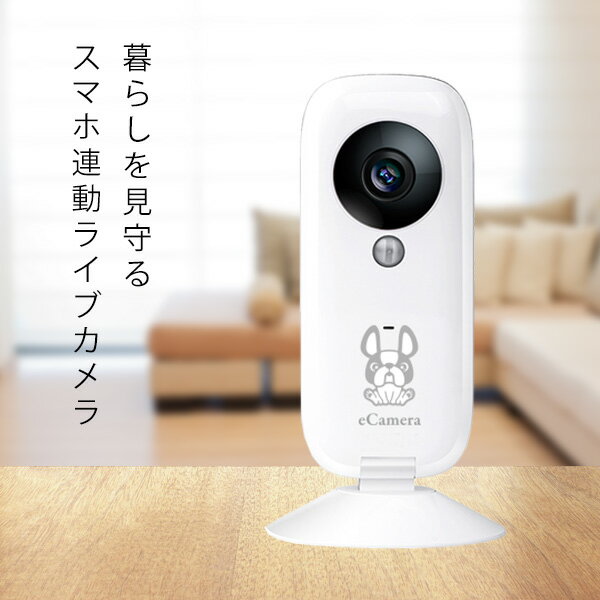 楽天1位 ホームセキュリティ イーカメラ eCamera 防犯カメラ ネットワークカメラ | ペット 用 カメラ 留守 小型 スマホ 見守りカメラ ワイヤレス ペットカメラ 留守番 室内 防犯 見守り 監視カメラ 留守番カメラ wifi 遠隔操作 ワイヤレスカメラ ペット用カメラ 防犯グッズ