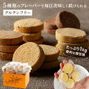 低糖質クッキー おからクッキー 5種 個包装 1kg （シナモン セサミ ごま ココア プレーン）｜ オカラクッキー おやつ クッキー おから お菓子 グルテンフリー ダイエット 豆乳クッキー ヘルシー おかし 低糖質 糖質オフ 健康 小麦粉不使用 腹持ち 詰め合わせ 糖質制限