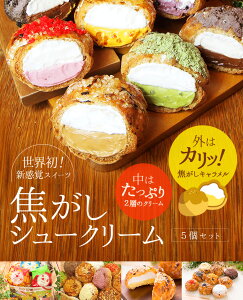 焦がしシュークリーム5個入り単品【冷凍便】2トーンシュー ベイクドマジック BAKED MAGIC スイーツ お土産 プレゼント チーズ お中元ギフト お中元 夏ギフト 暑中見舞い 敬老の日 クリスマス 冬ギフト お歳暮 御歳暮 冬ギフト ホワイトデー お返し 母の日 父の日