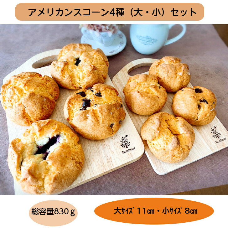アメリカンスコーン4種(梅・ブルーベリー・チョコレート・プレーン)大・小セット 送料無料 卵不使用 豆乳 冷凍パン 自然解凍 リベイク 手作りパン ティータイム...