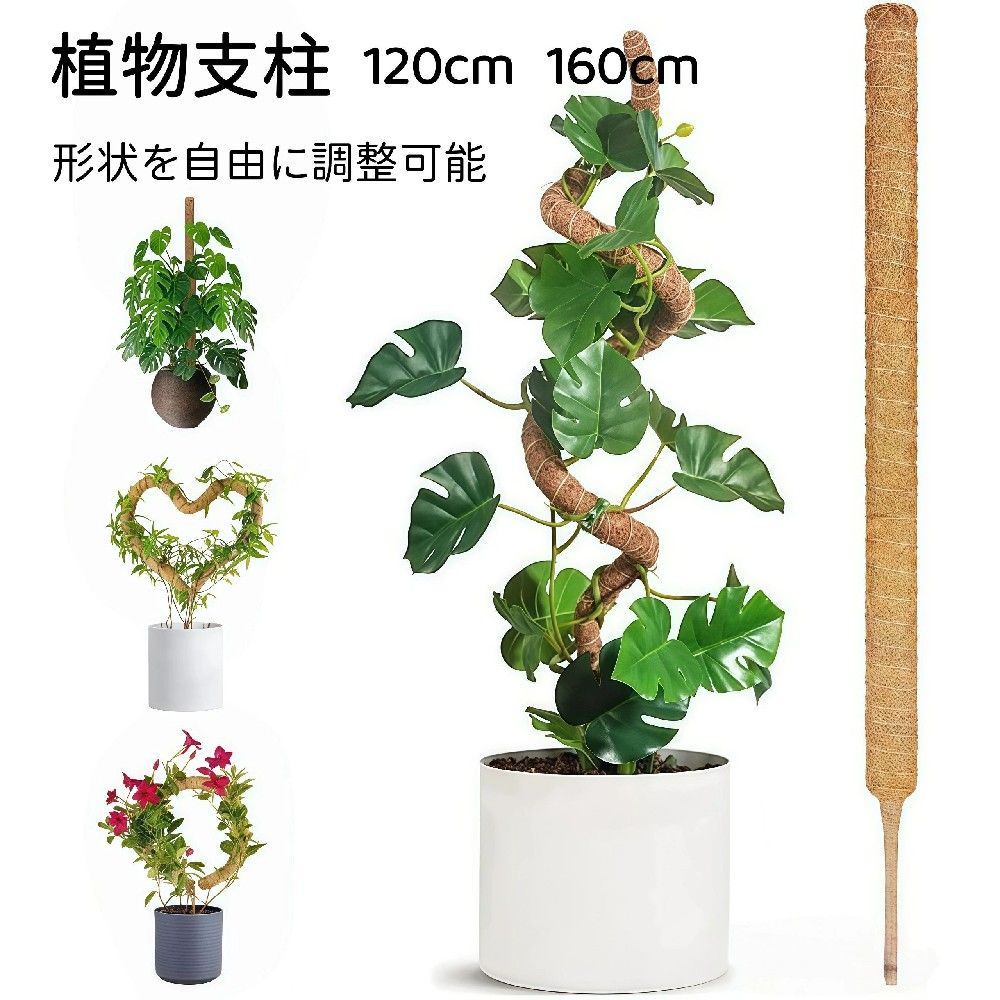 【自由に曲げられる】ヘゴ支柱 モスポール 観葉植物用 つる植物 誘引 支柱 モンステラ・フィロデンドロン対応 120/160cm