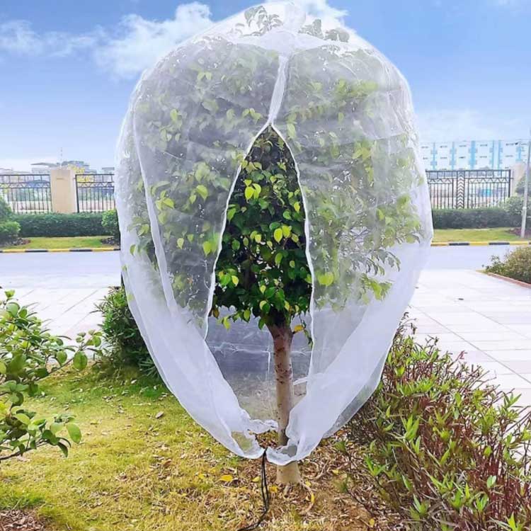 バッカの防虫ネット ファスナー付 植物保護カバー 300x300cm プランター用 虫よけカバー 果樹栽培 野菜 植物保護袋 虫よけネット 防虫網 鳥よけ ネット 虫害対策 メッシュ 防鳥ネット 菜園プランター用 レモン ブルーベリー きゅうり 枝豆 トマト 虫除けネット｜アングル2