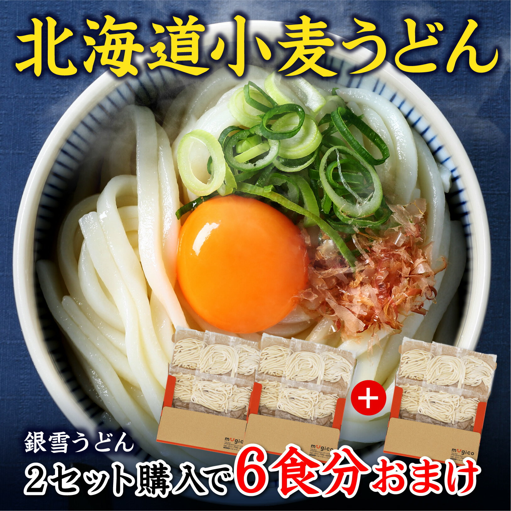 【2セットで1セットおまけ】銀雪うどん 1セット6人前（[普通盛]1人前100g）送料無料　うどん　麺　北海道　お取り寄せ　グルメ