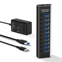 ROSONWAY USB ハブ 3.1 Gen2 10Gbps 10ポートアルミ製 36W USB HUB セルフパワー USBケーブルとType Cケーブル 付き 12V/3A ACアダプタ 独立スイッチ 付き(2)