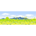 濱文様 絵てぬぐい 富士山と菜の花春景色