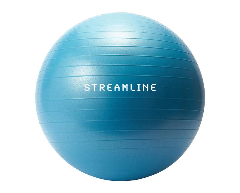 トーン エクササイズボール 55cm