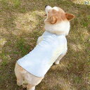 犬用クールベスト 夏用 ひんやり ペット用冷却ベスト 小型犬 中型犬 暑さ対策 熱中症対策 おしゃれ