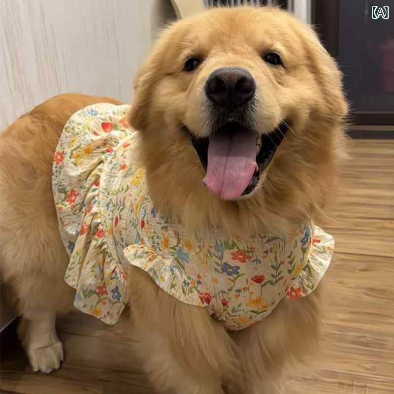 ѥ٥  Ҥ ڥåѥ٥  淿 뤵к Ǯк 