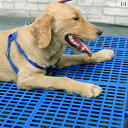 犬用クールベスト 夏用 ひんやり ペット用冷却ベスト 小型犬 中型犬 暑さ対策 熱中症対策 おしゃれ
