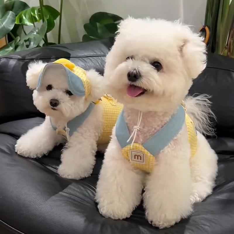 ペットウェア ドッグウェア 動物 衣装 パフォーマンス ファッション カジュアル コスプレ おもしろ