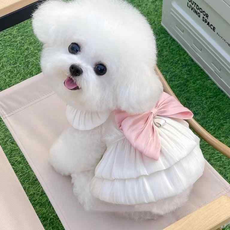 ペットウェア ドッグウェア 動物 衣装 パフォーマンス ファッション カジュアル コスプレ おもしろ