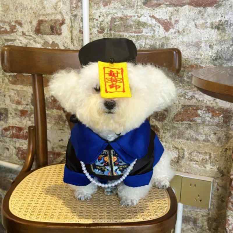 ペットウェア ドッグウェア 動物 衣装 パフォーマンス ファッション カジュアル コスプレ おもしろ