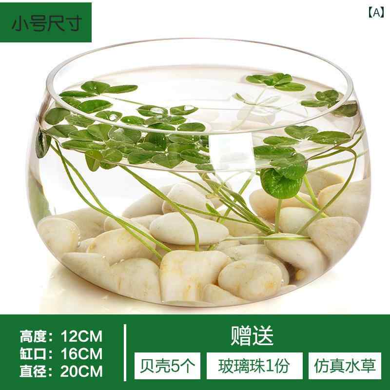 一人鍋用鍋 土鍋 透明 ガラス 花瓶 銅 グラス 水耕栽培 植物 植木鉢 大型 ポスト ガラス製品 リビングルーム ラウンド シンプル デスクトップフロア