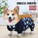 ペットウェア 用品 散歩 リード ストラップ アクセサリー 犬 腹帯 オールインクルーシブ 防水 レインコート 防寒 コーギー 腹部保護