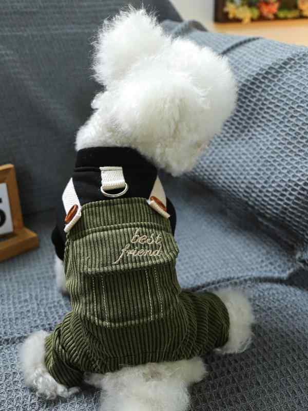 ペットウェア おしゃれ かわいい ファッション 犬 猫 洋服 衣装 シュナウザー ビション ポメラニアン ..