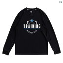 メンズ 長袖 スポーツ ウェア Tシャツ カジュアル ファッション プリント入り ランニング トレーニング フィットネス 速乾 通気性 バスケットボール ブラッ...