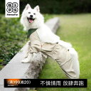犬服 防水 防風 撥水 軽量 通気 ペット服 犬用 レインコート Meowhuwangye 中型 犬 ペット ジャケット レインコート 小型 防水 柴犬 ビシ...