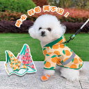 雨具フード付き 着せやすい 濡れにくい 梅雨対策 おしゃれ 犬用 レインコート プリント 子犬の レインコート 防水 ポータブル ペットは テディ ポメラニア...