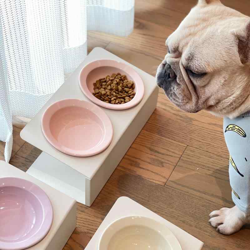 犬猫用　餌入れ　ボウル セラミック 斜め ダブル ボウル フライングソーサー 麦わら 帽子 ペット 猫 ハ..