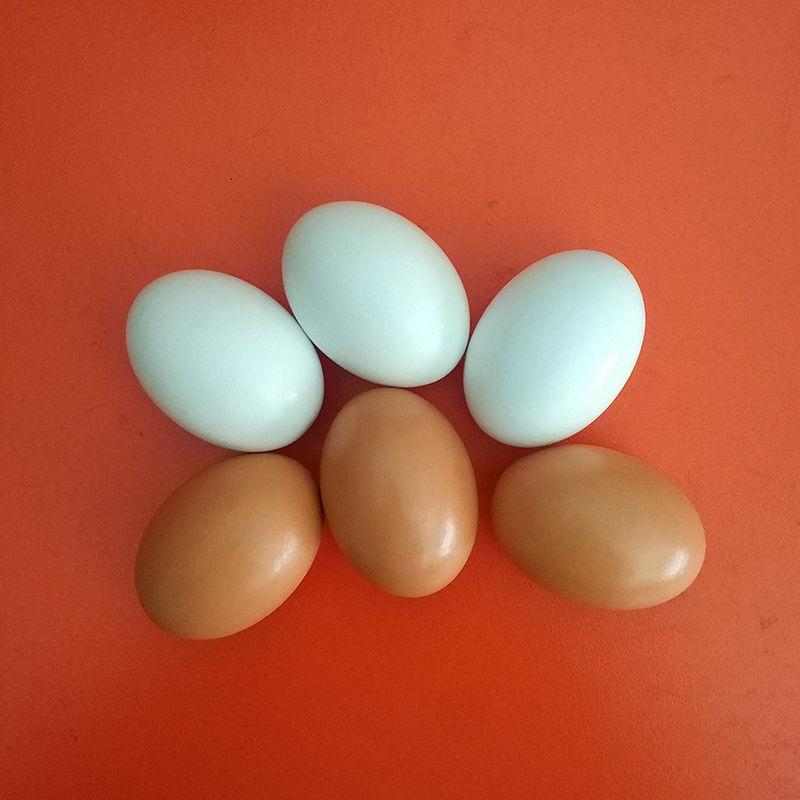 マッチングエッグ 知育おもちゃ 型はめ 形認識 しっかりと した 木製の フェイクの 卵の シミュレーションの 巣の 模型 プレイハウスの おもちゃ 子供の 手 描きの 落書きの トリックの 小道具