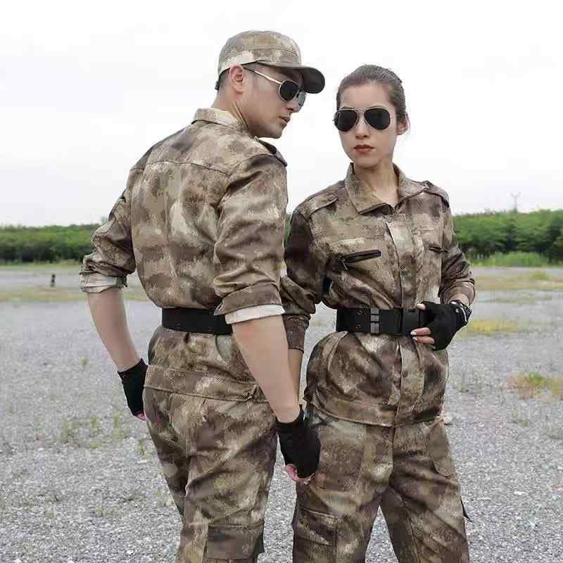 ˽Ѥ Ĺµ º   ɱ åȡ岼     å ư  ȥ졼˥ ȥɥ ...