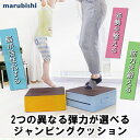 【4月20日まで】【ポイント5倍+8%クーポン配布中】Marubishi 丸菱工業 ジャンピングクッション ジャンプクッション トランポリン 健康 体幹 強化 筋力 トレーニング 大人 子供 跳ぶ フィットネス 運動 椅子 室内 日本製 ギフト プレゼント 10代 20代 30代