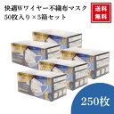 【スーパーSALE限定★P3倍】\レビュー特典300円割引クーポン/快適 ダブルワイヤー マスク不織布 2本 50枚入り 5個セット ふつうサイズ 個包装 ダブ...