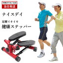 【選べる特典付】ナイスデイ ステッパー 健康ステッパー 健康 ステッパーショップジャパン ダイエット コンパクト 足腰 レッド 足踏み 器具 健康器具 トレーニング エクササイズ 室内