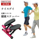 ナイスデイ ステッパー 健康ステッパー 健康 ステッパーショップジャパン ダイエット コンパクト 足腰 レッド 足踏み 器具 健康器具 トレーニング エクササイ...