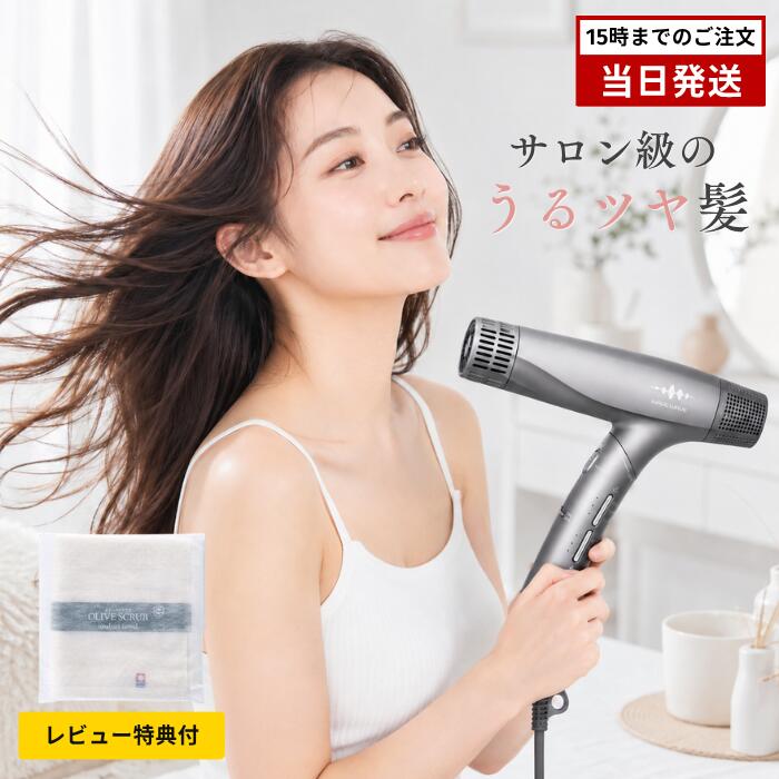 【レビュー特典付き】WAVEWAVE Dual Care Dryer WH55-01 ウェーブウェーブ デュア...