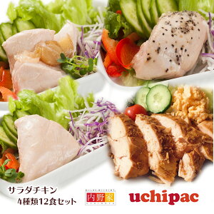 サラダチキン4種類12食セット 無添加 uchipac 常温ロングライフ 安心安全 お惣菜の内野家 国産鶏肉 食品添加物 保存料不使用